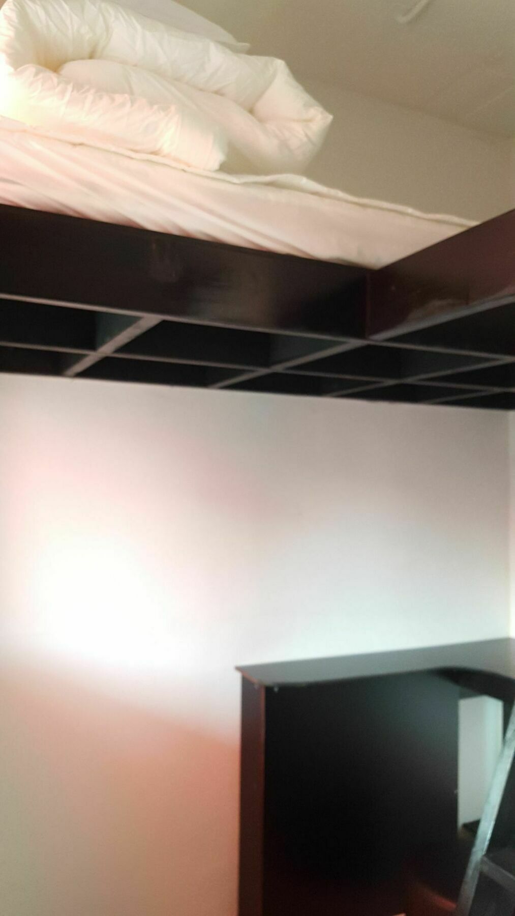 Amazon Guesthouse Szöul Kültér fotó