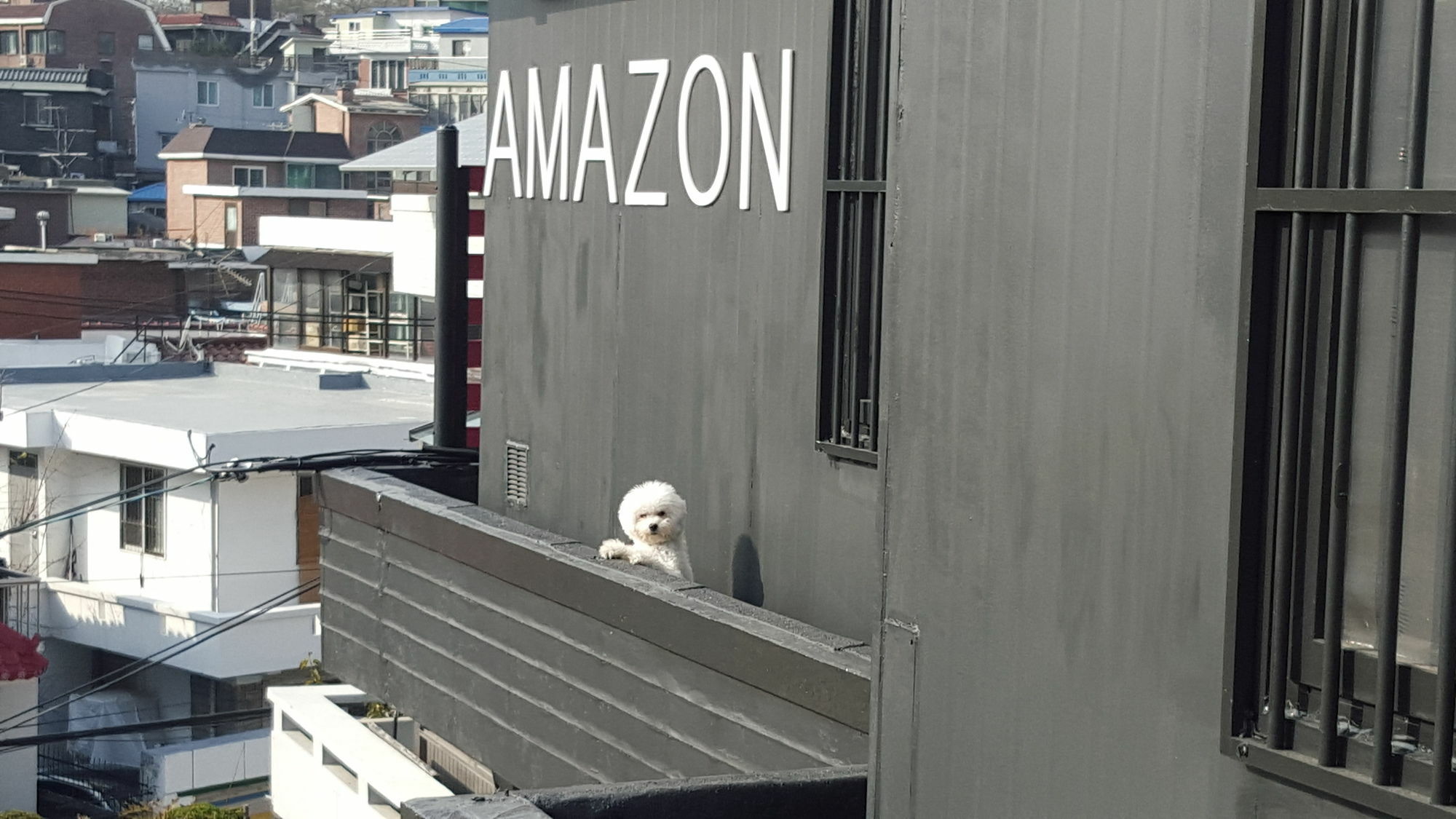 Amazon Guesthouse Szöul Kültér fotó